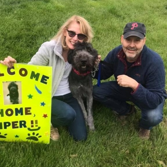 Meet your Posher, Mimi - Picture 1 of 1